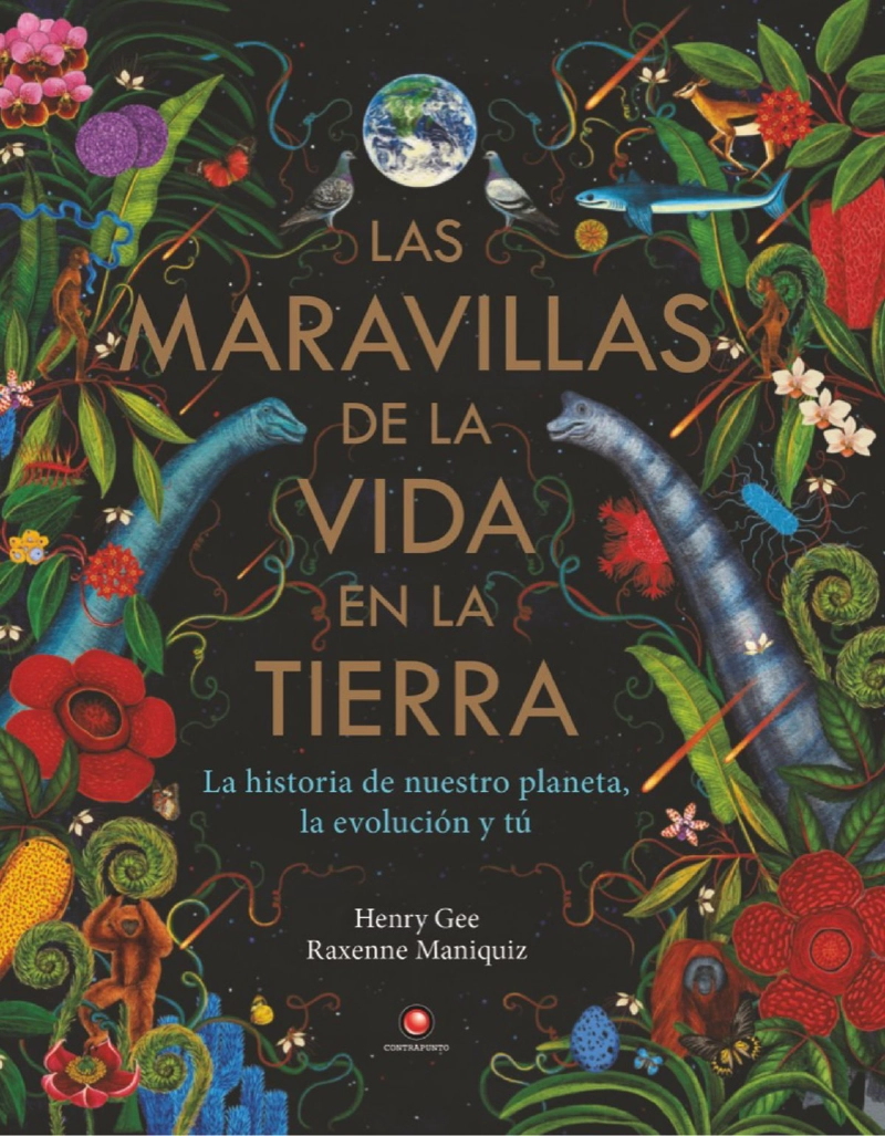 LAS MARAVILLAS DE LA VIDA EN LA TIERRA - 1