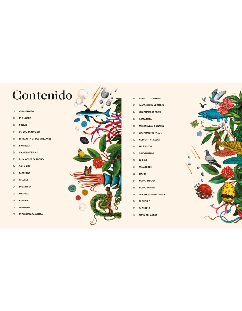 LAS MARAVILLAS DE LA VIDA EN LA TIERRA - 2