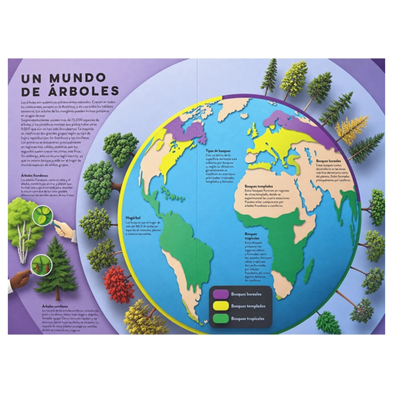 ARBOLES. UN MUNDO DE PAPEL - 2