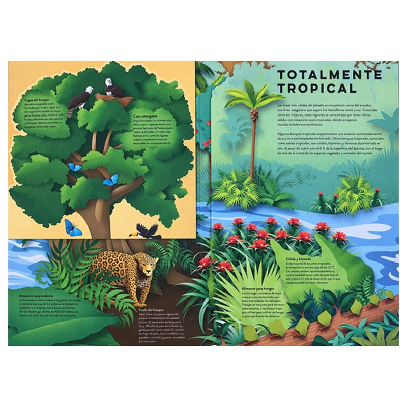 ARBOLES. UN MUNDO DE PAPEL - 3