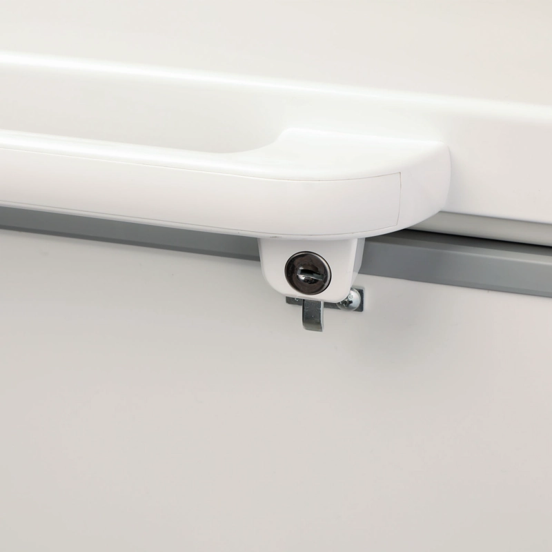 CONSERVADORA 203 LITROS TAPA DURA CTVD-210 - 2