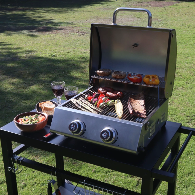 PARRILLA GAS PORTATIL GRILL TO GO 2Q - 5
