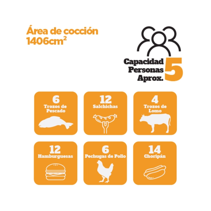 PARRILLA GAS PORTATIL GRILL TO GO 2Q - 6