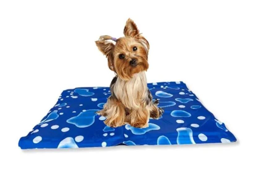 MANTA REFRESCANTE PERROS MAT - 1