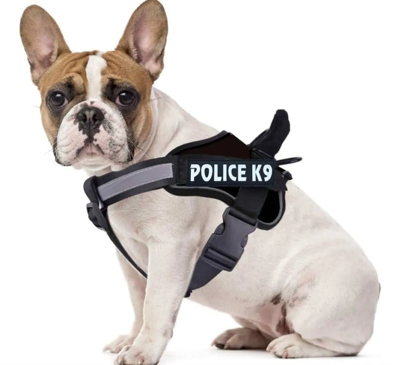 ARNES PERROS PECHERA PROFESIONAL POLICE K9 S-XL NEGRO - 2