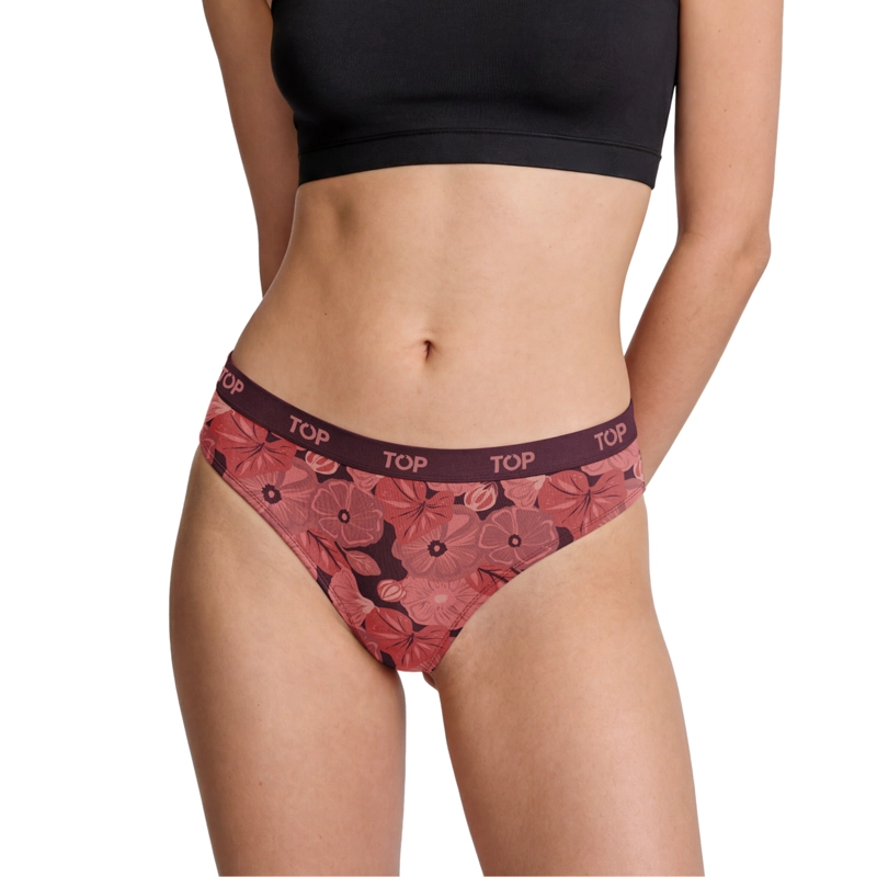 CALZON BIKINI ALGODON PACK 3 COLECCION FAVS C1 TOP - 5