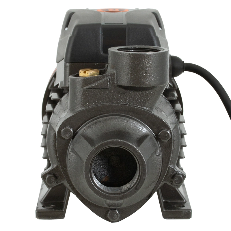 BOMBA SUPERFICIE BERCATTI PERIFÉRICA 0.5 HP - 2