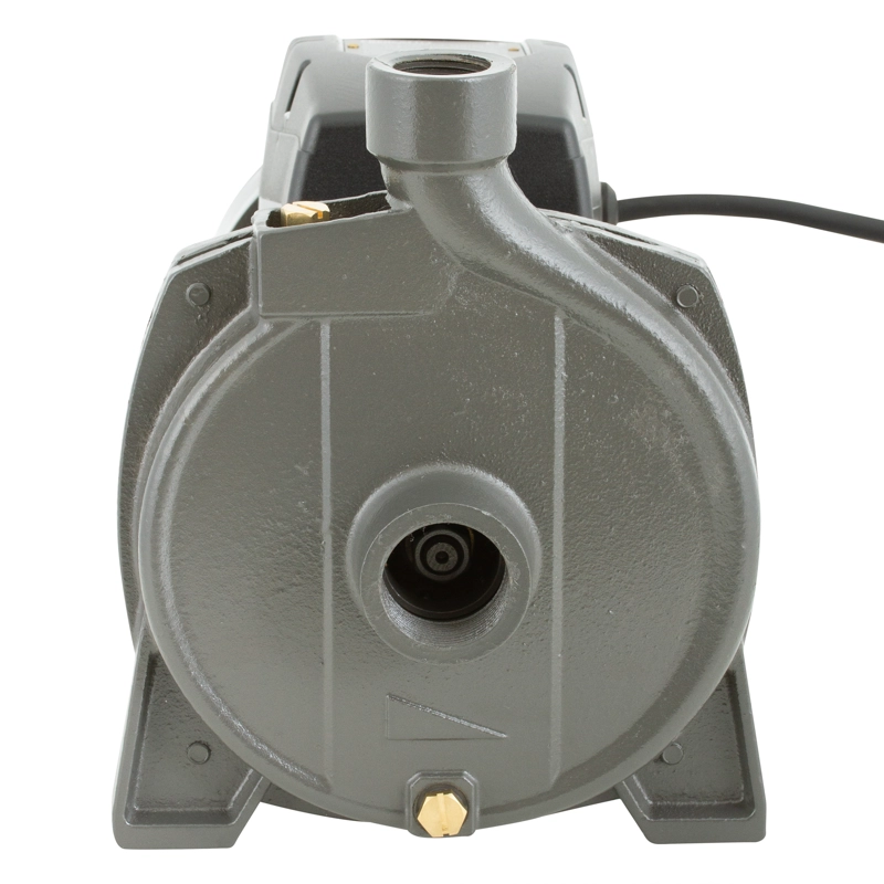 BOMBA SUPERFICIE BERCATTI CPM170B 1.5 HP CENTRIFUGA - 3