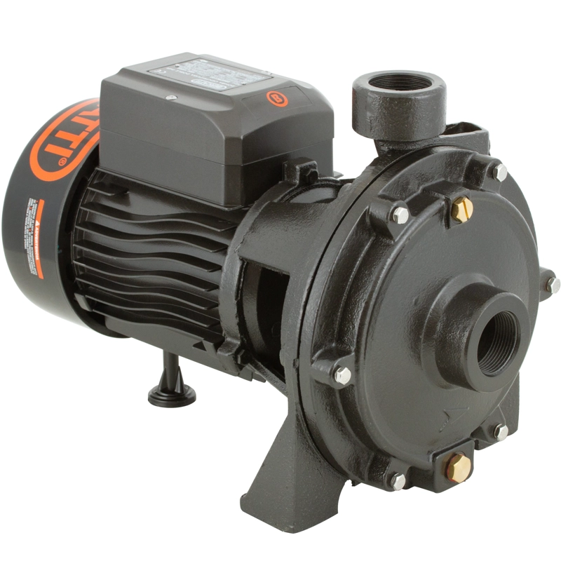 BOMBA SUPERFICIE BERCATTI 2SGPM140 1.5 HP CENTRIFUGA DOBLE IMPULSOR - 1