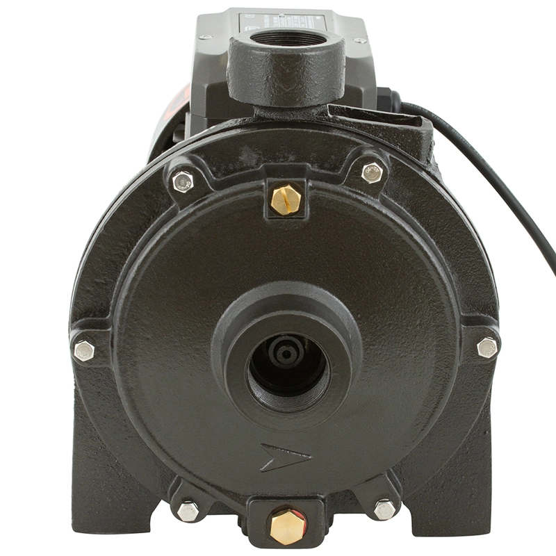 BOMBA SUPERFICIE BERCATTI 2SGPM140 1.5 HP CENTRIFUGA DOBLE IMPULSOR - 2