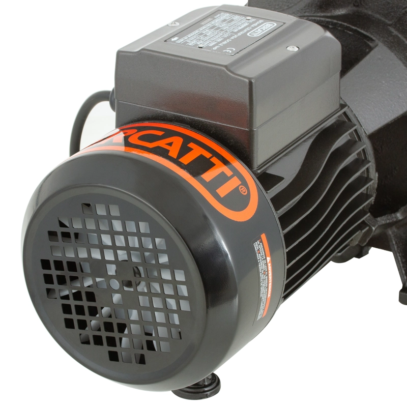 BOMBA SUPERFICIE BERCATTI 2SGPM140 1.5 HP CENTRIFUGA DOBLE IMPULSOR - 4