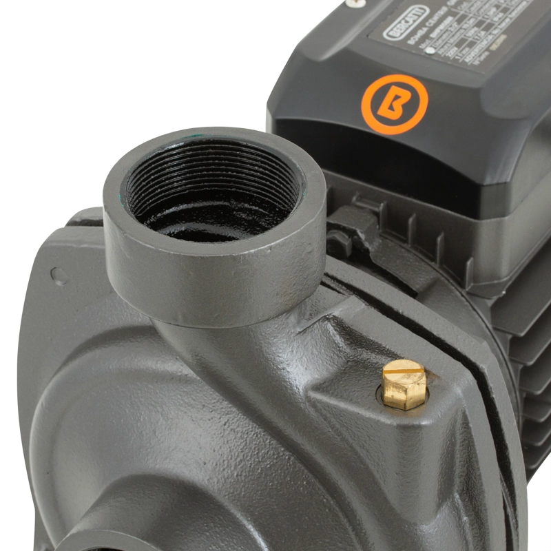 BOMBA SUPERFICIE BERCATTI BHFM5BM 1.5 HP CENTRIFUGA GRAN CAUDAL - 2
