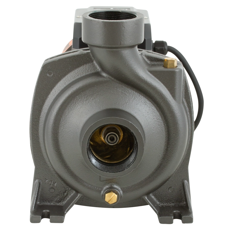 BOMBA SUPERFICIE BERCATTI 1.5 HP CENTRIFUGA GRAN CAUDAL - 3