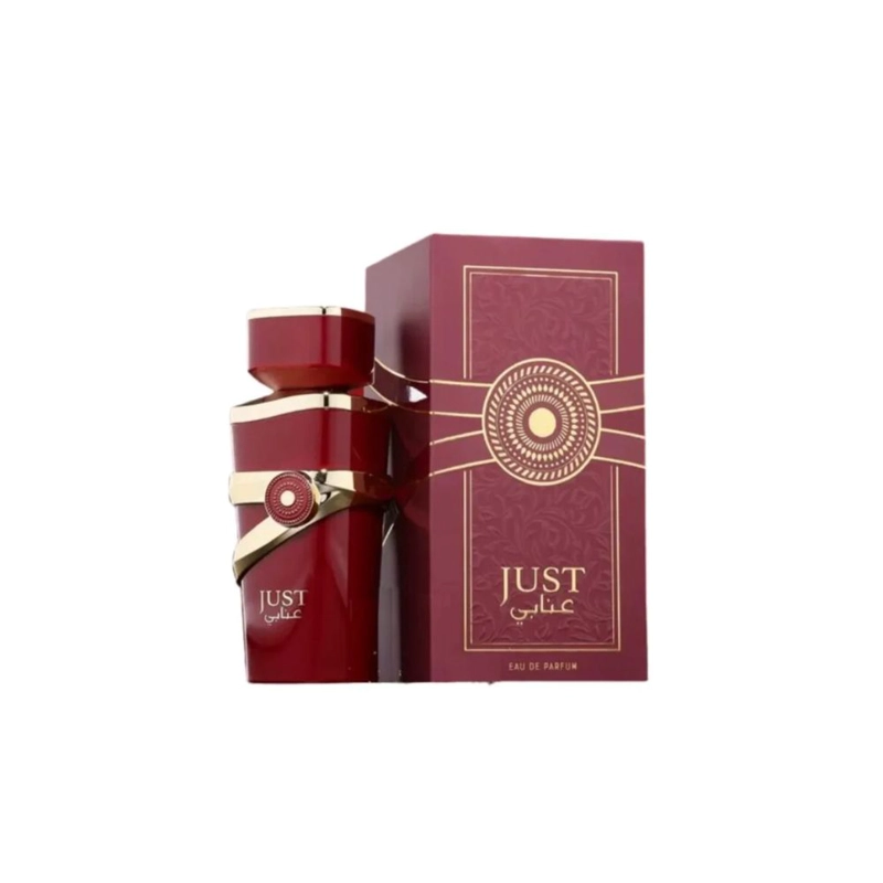 PERFUME FRAGRANCE WORLD JUST ANABI HOMBRE EDP 100 ML - 1