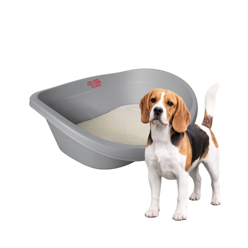 CAMA PERROS GATOS CP013 COOL PETS PLASTICA M CON COJIN 62X43X23 CM - 1