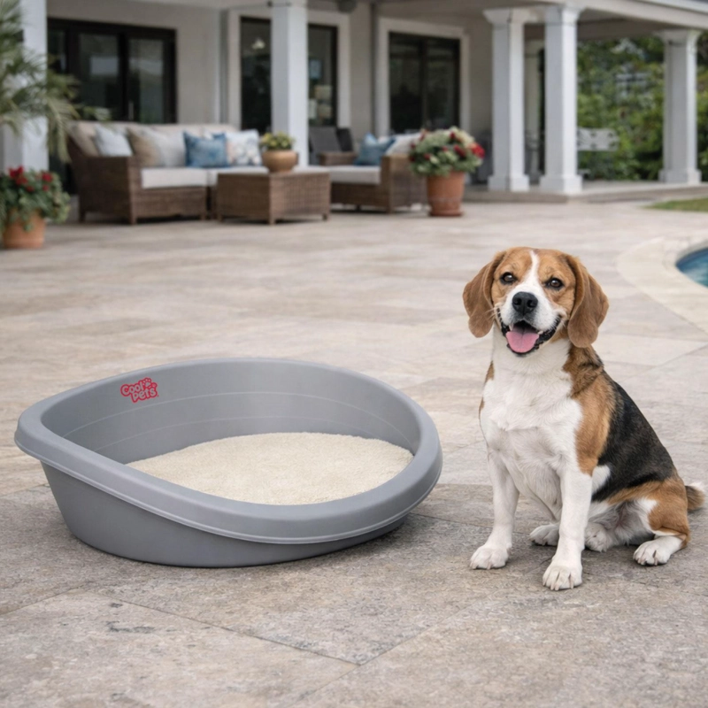 CAMA PERROS GATOS CP013 COOL PETS PLASTICA M CON COJIN 62X43X23 CM - 5