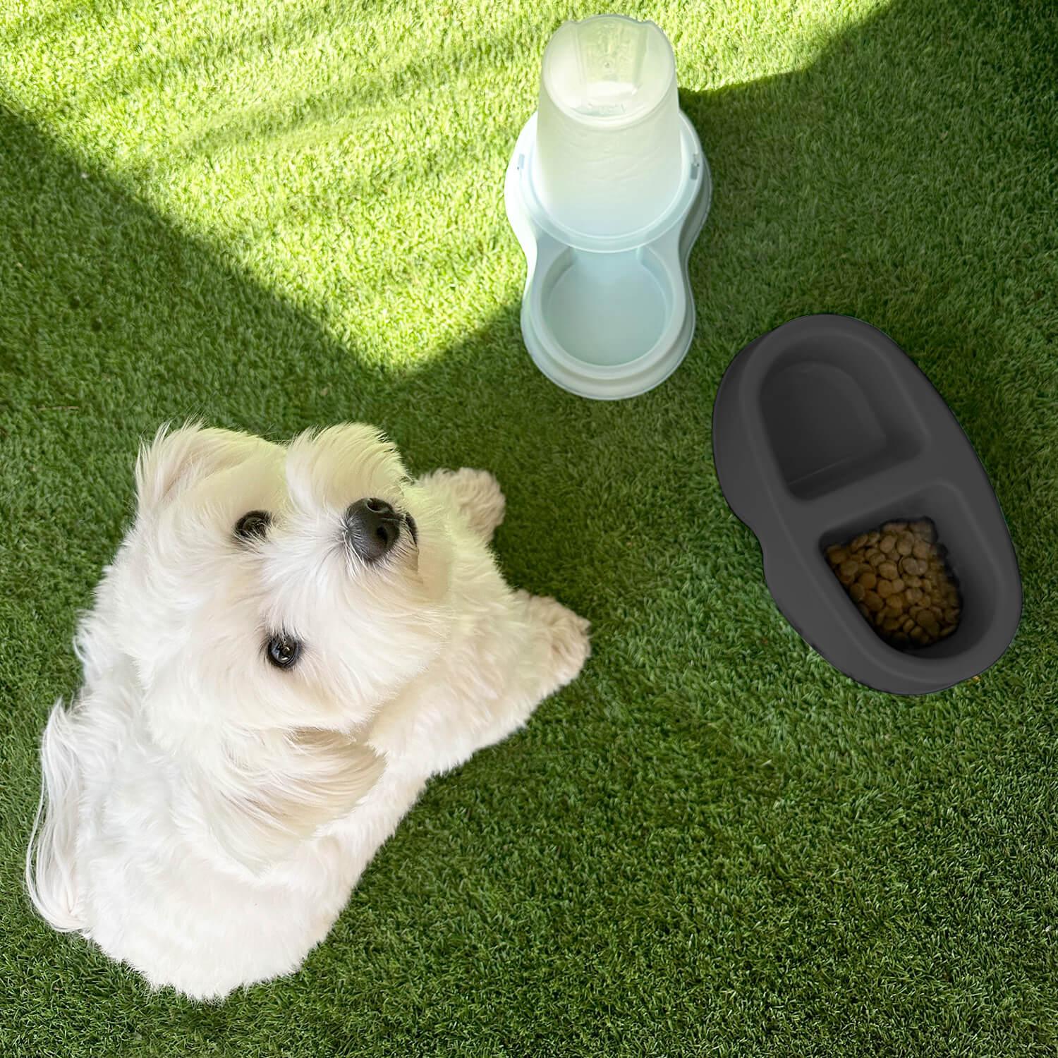 COMEDERO BEBEDERO DOBLE PARA MASCOTA NEGRO 100ML COOL PETS - 6