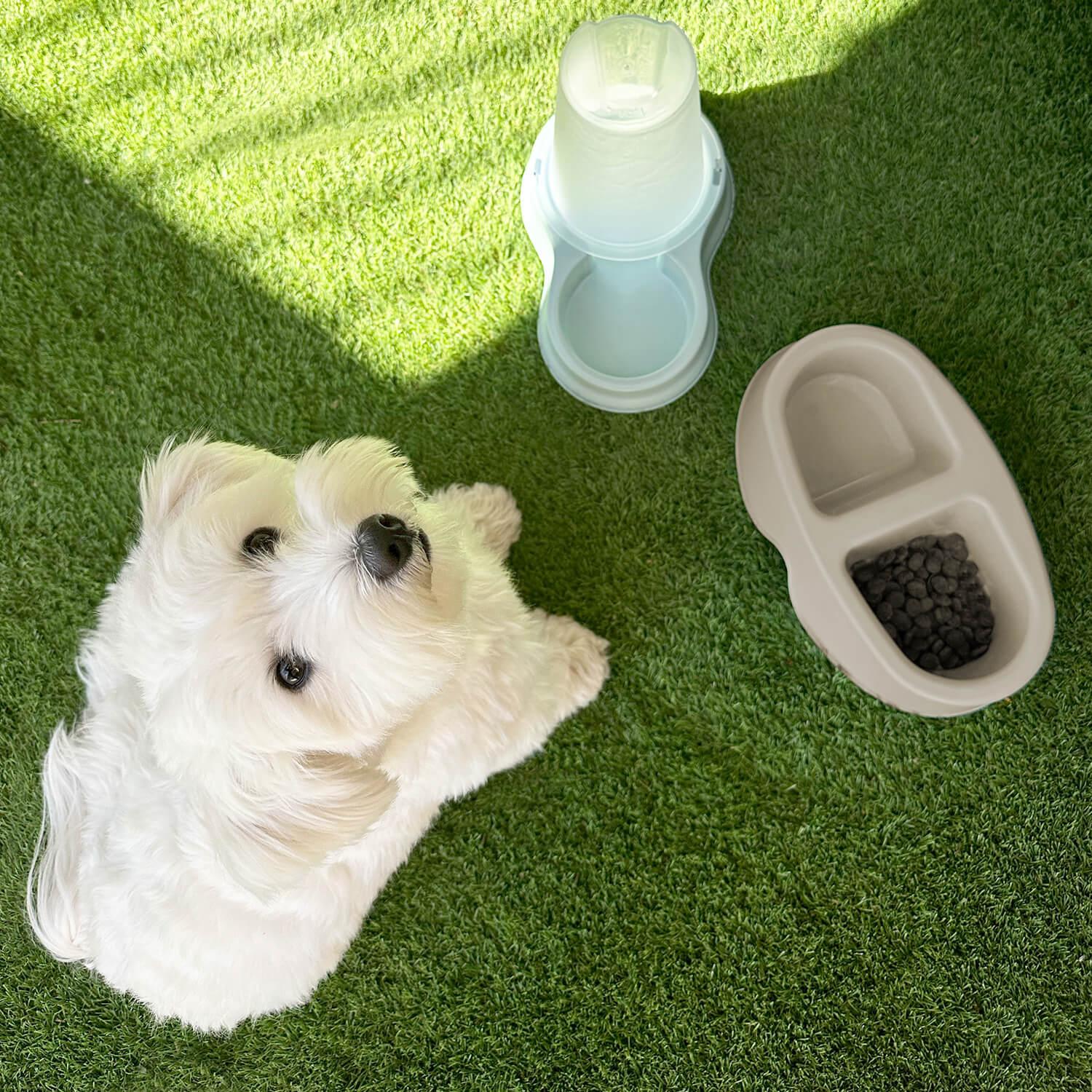 COMEDERO BEBEDERO DOBLE PARA MASCOTA BEIGE 100ML COOL PETS - 5