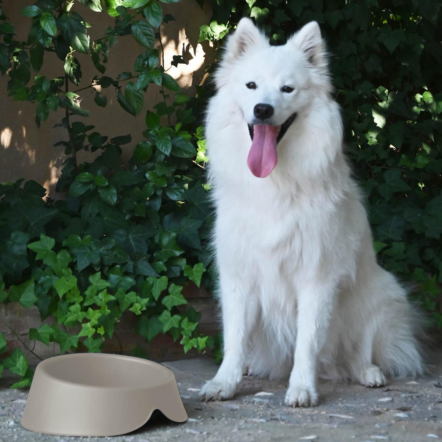 PLATO COMEDERO BEBEDERO PARA MASCOTA BEIGE 1 L COOL PETS - 6