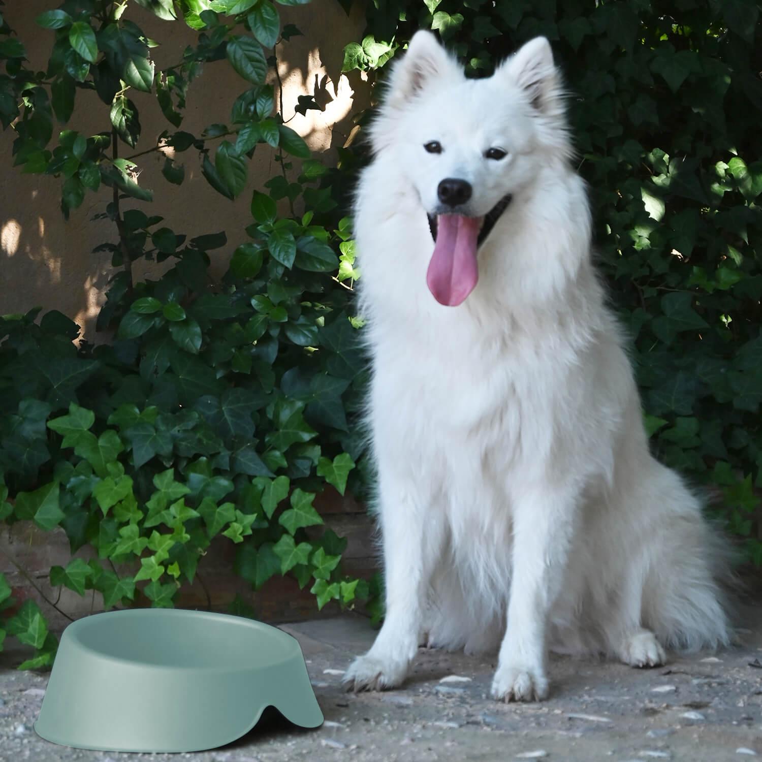 PLATO COMEDERO BEBEDERO PARA MASCOTA MENTA 1 L COOL PETS - 6