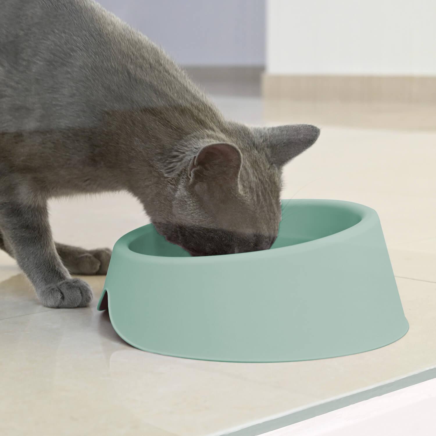 PLATO COMEDERO BEBEDERO PARA MASCOTA MENTA 1 L COOL PETS - 8