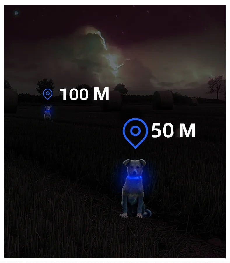 COLLAR PERROS GATOS SEGURIDAD LED RECARGABLE USB 3 MODOS ILUMINACION AZUL M - 6
