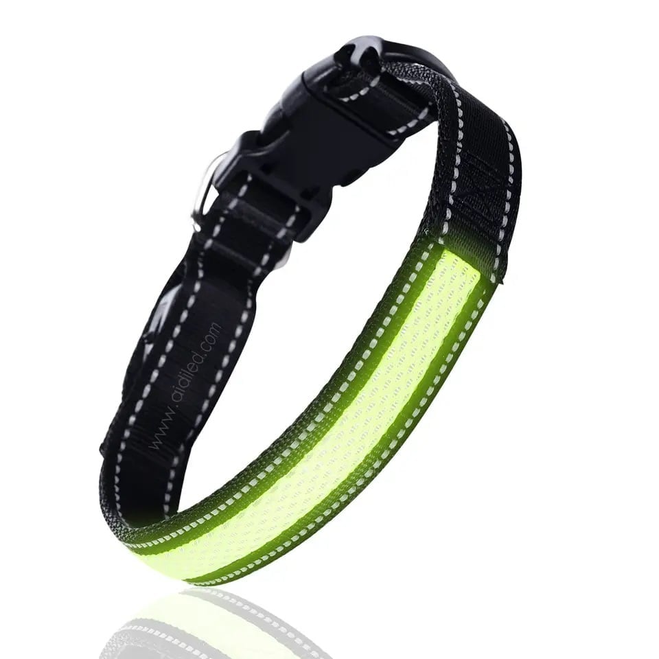 CORREA PERROS GATOS LUZ LED CARGA USB 3 MODOS VERDE TALLA S - 1