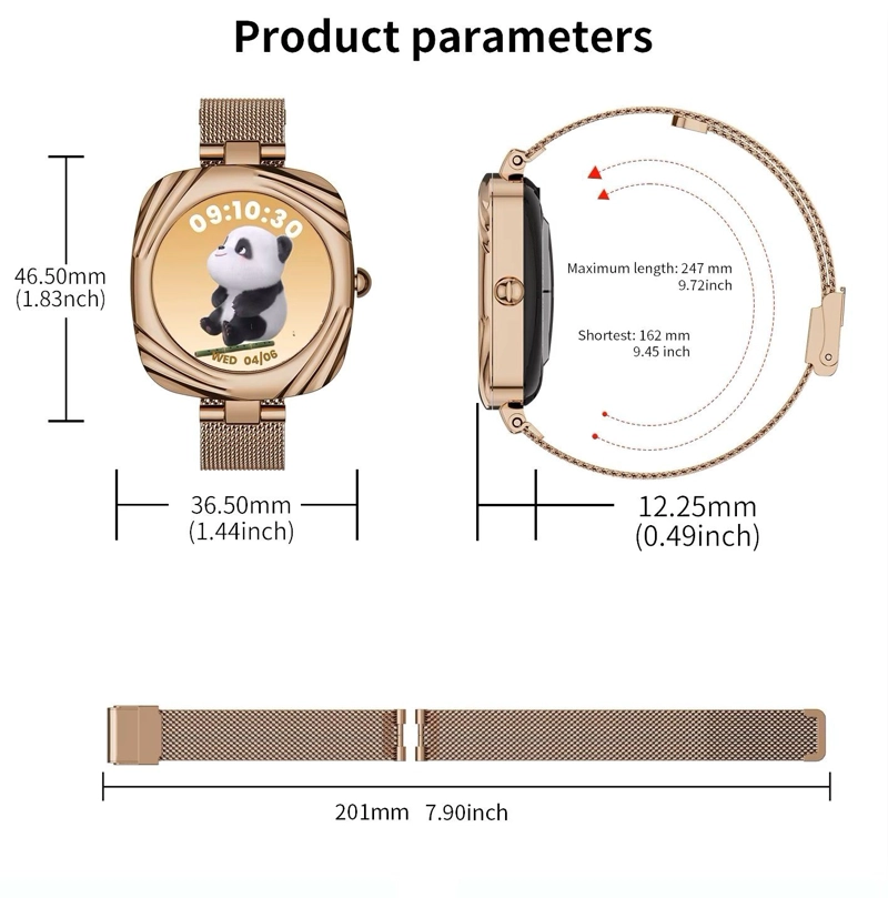 SMARTWATCH RELOJ INTELIGENTE ELEGANTE AW5 AMOLED 220MAH IP68 SALUD Y DEPORTE COMPATIBLE - 6