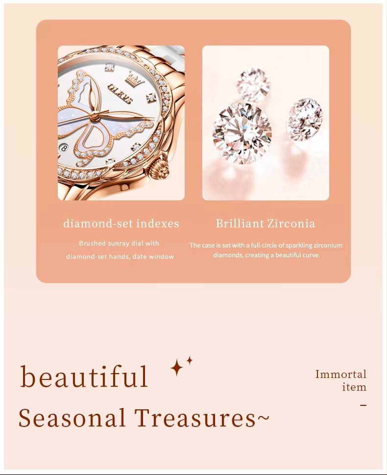 RELOJ DE PULSERA ELEGANTE MUJER ESFERA MARIPOSA Y DETALLES DE ZIRCONIA - 4