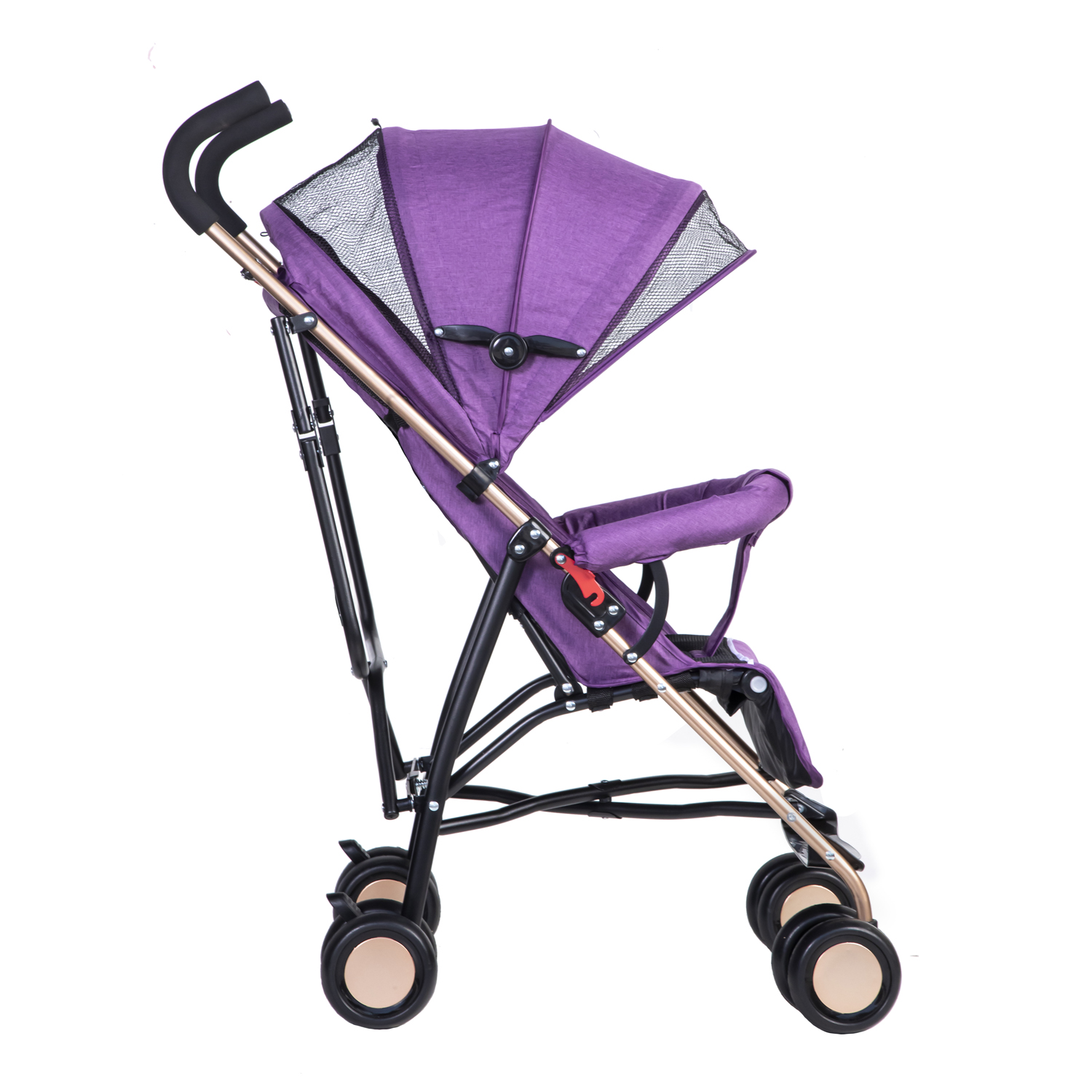 COCHE PARAGUA OSO PURPLE - 2
