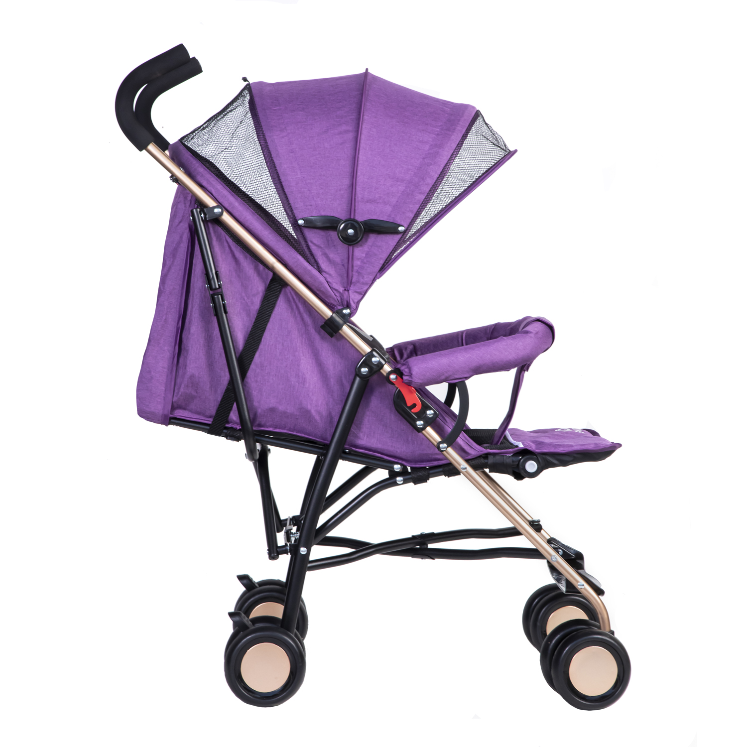 COCHE PARAGUA OSO PURPLE - 3