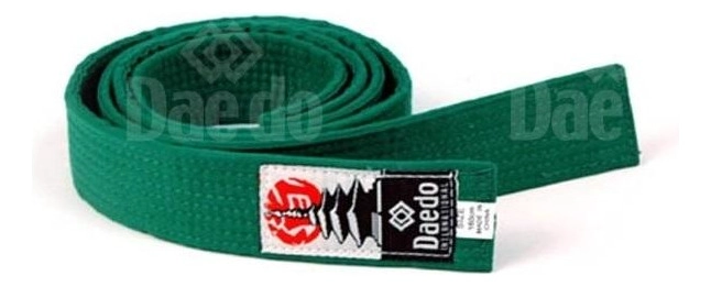 CINTURON DAEDO VERDE 245 CMS. - 1