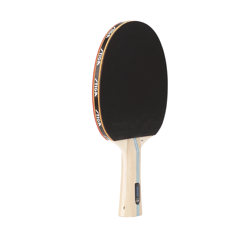 PALETA TENIS DE MESA STIGA ARTIST 2 ESTRELLAS - 2