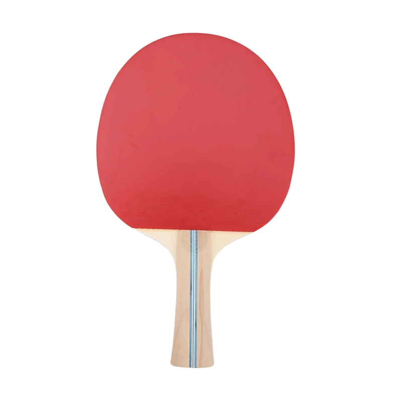 PALETA TENIS DE MESA STIGA ARTIST 2 ESTRELLAS - 3