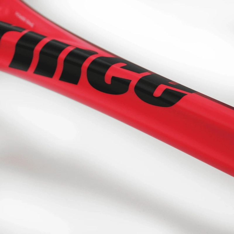 RAQUETA DE SQUASH PRINCE TXTZ PHOENIX PRO 750 - 3