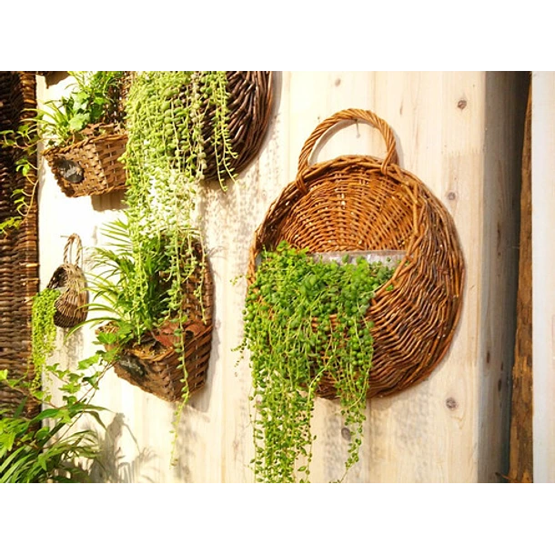 JUEGO DE DOS MACETAS DE FLORES PARA COLGAR PARED - 2
