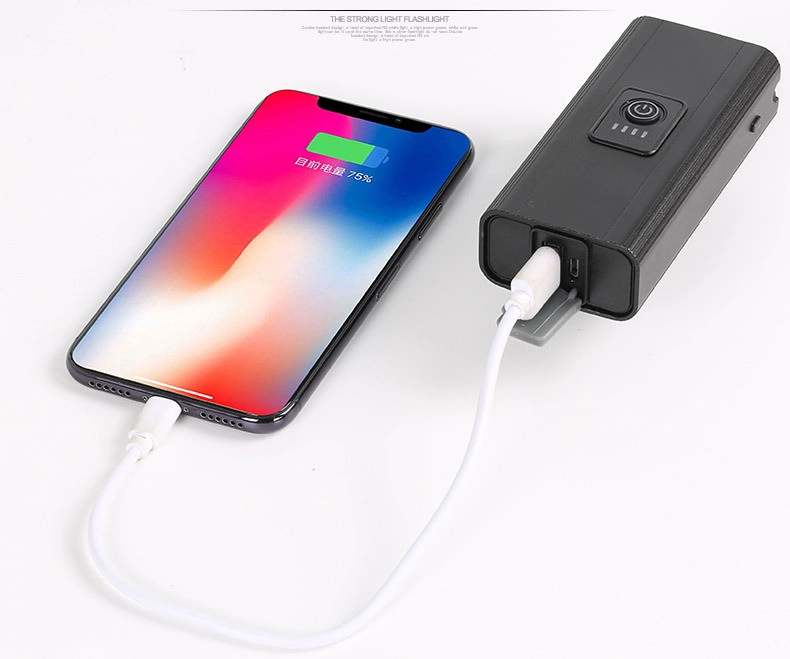 JUEGO DE LUZ CRUSEC LED DE BICICLETA IMPERMEABLE USB POWER BANK - 3
