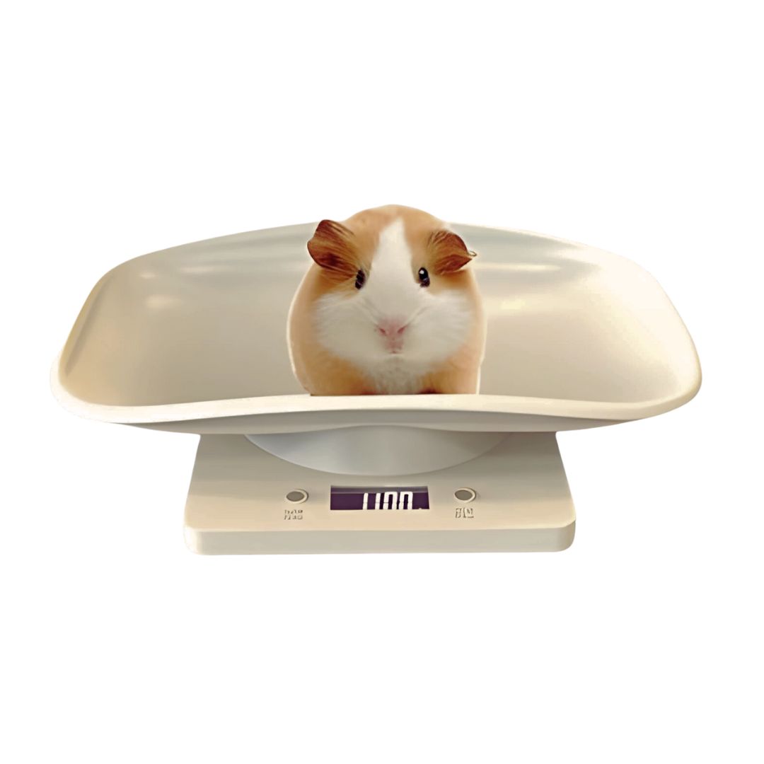 BALANZA BASCULA DIGITAL PARA MASCOTAS BEBES LCD 10KG - 6