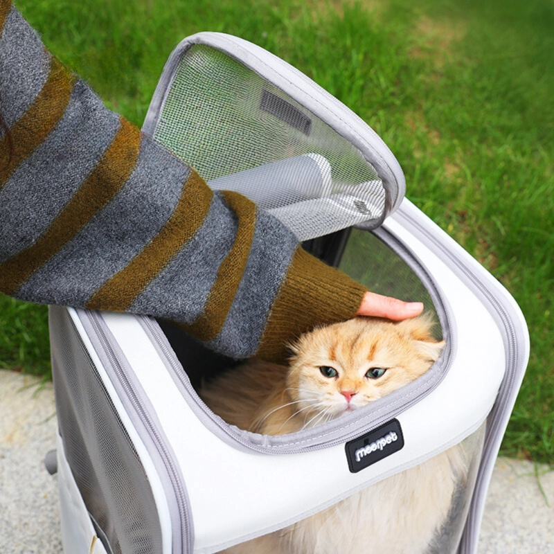 MOCHILA TRANSPORTADORA PERROS GATOS M1 BOLSO PASEO CRUSEC - 6