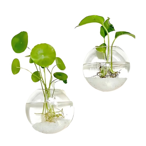 PACK 2 MACETAS DE VIDRIO COLGANTE TRANSPARENTE PARED 13CM - 1