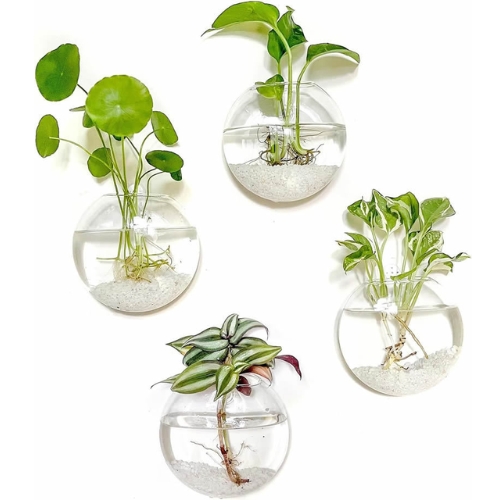 PACK 2 MACETAS DE VIDRIO COLGANTE TRANSPARENTE PARED 13CM - 3