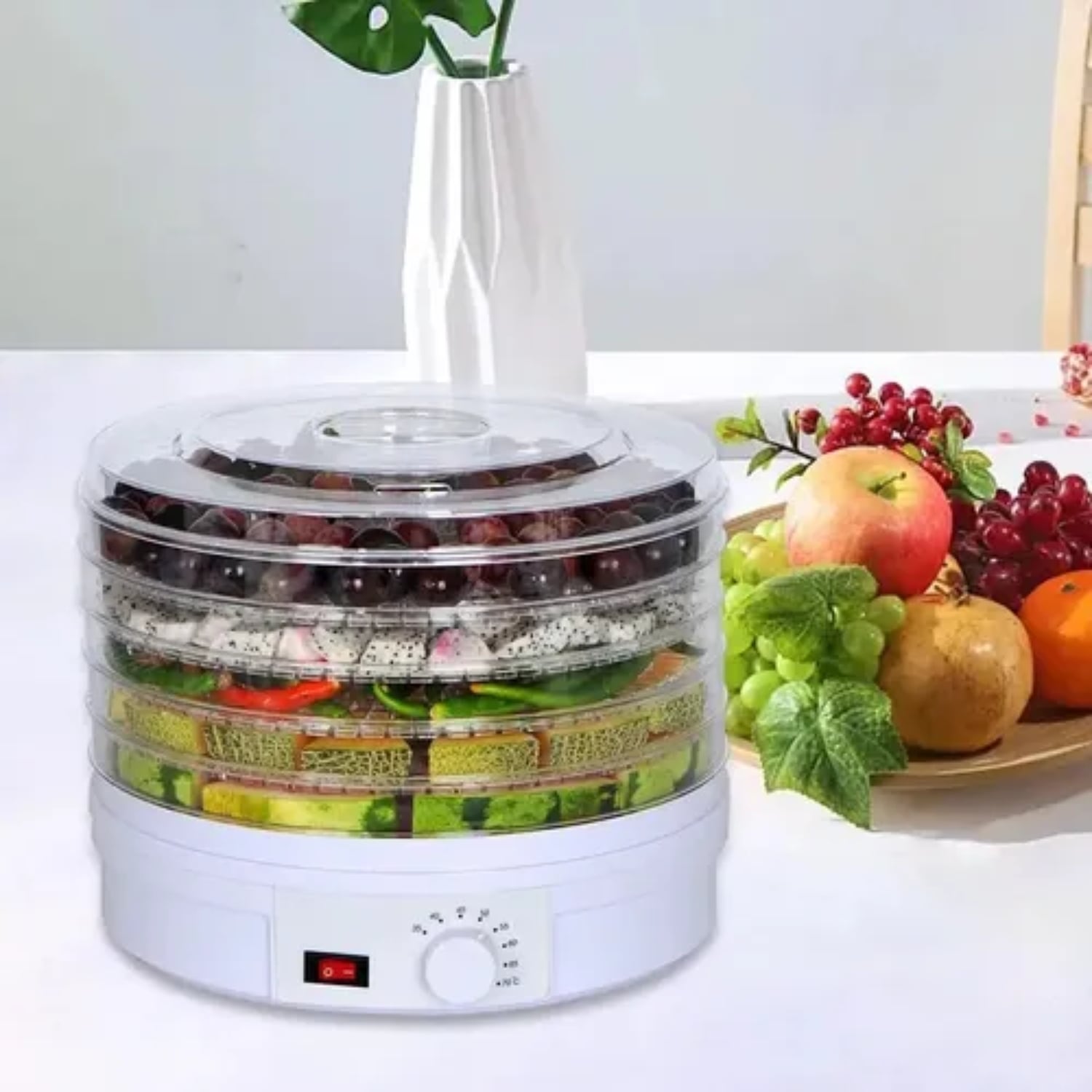 DESHIDRATADOR DE ALIMENTOS FRUTAS VERDURAS 220V ELECTRICO - 2