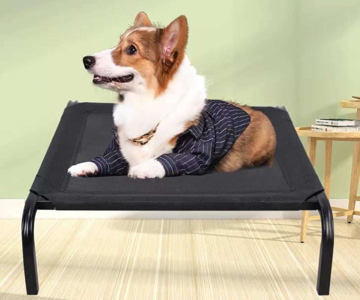 CAMA REFRESCANTE EN ALTURA PARA PERROS GATOS TALLA L - 4