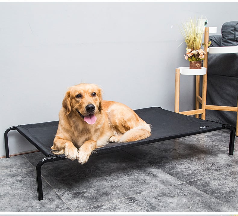 CAMA REFRESCANTE EN ALTURA PARA PERROS GATOS TALLA L - 5