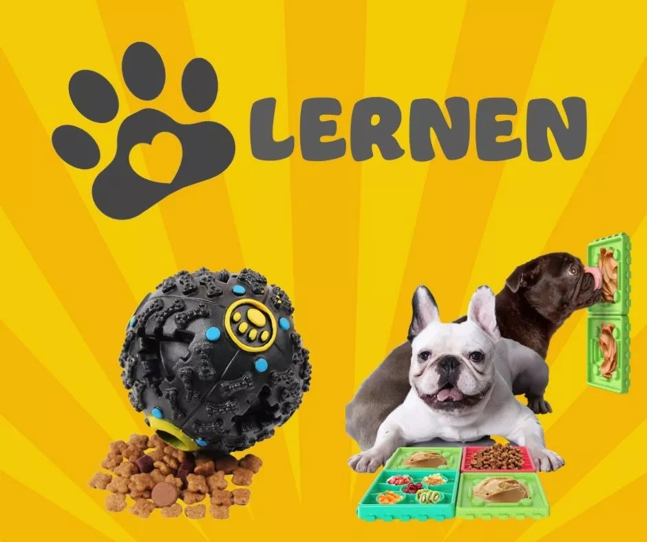CANIL METAL PERROS DESARMABLE 2 PUERTAS HASTA 40 KG LERNEN - 7
