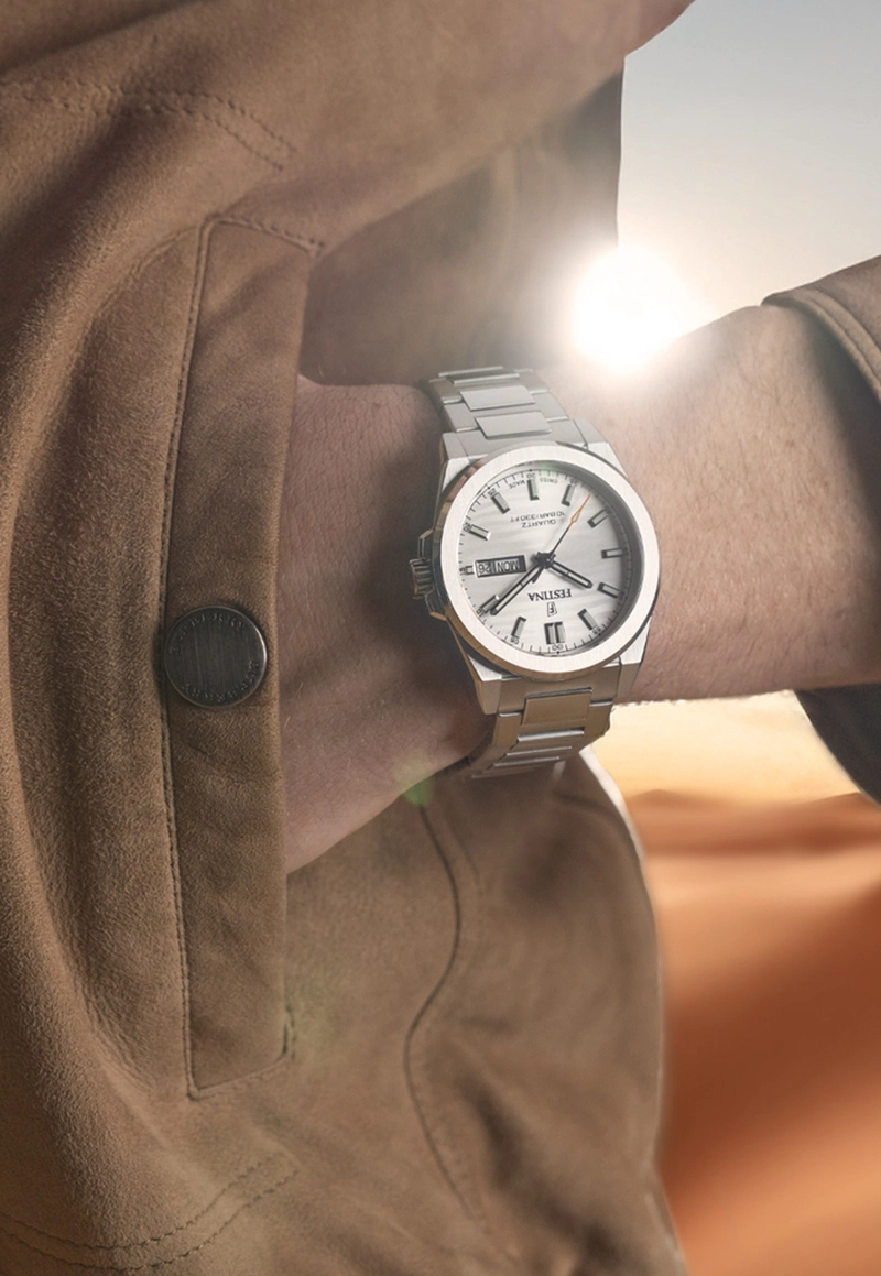 RELOJ F20073/1 FESTINA SWISS PLATA HOMBRE ACERO CLASICO - 3