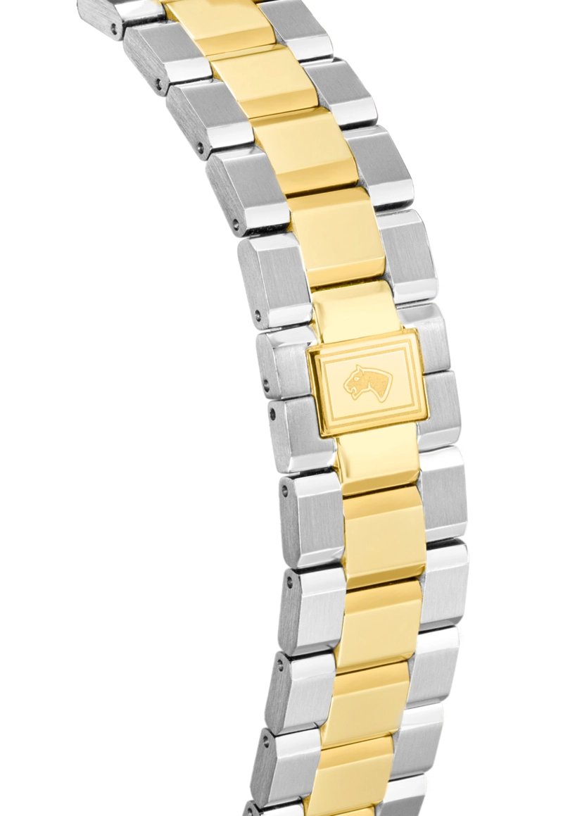 RELOJ J1043/1 JAGUAR SWISS PLATEADO HOMBRE ACAMAR (AY-KUH-MAR) - 2