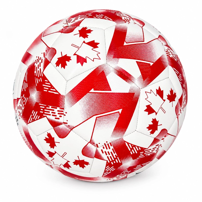 BALON DE FUTSAL N4 ALON SPORT CANADA TEAM - 2