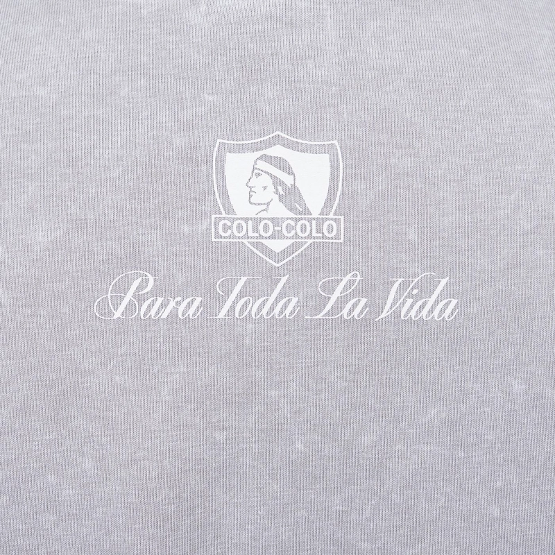 POLERA HOMBRE COLO COLO URBANO GRIS ESCUDO GRIS - 5