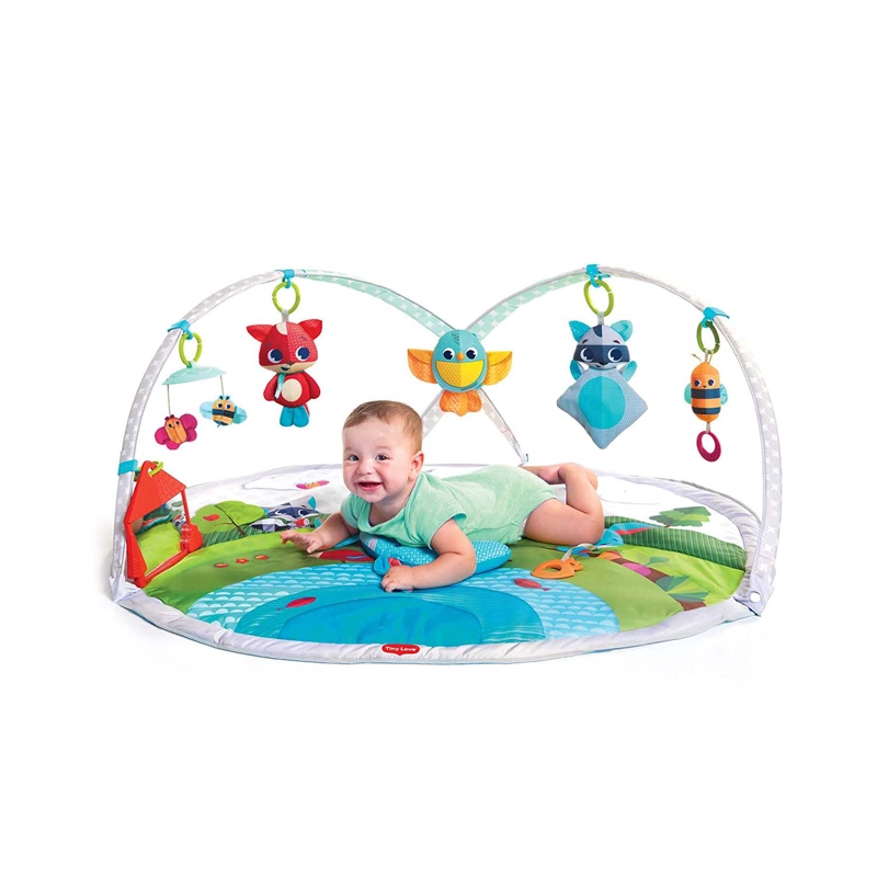 GIMNASIO DYNAMIC GYMINI TINY LOVE - 2